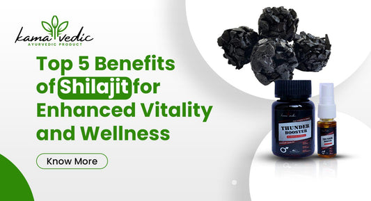 Top 5 Benefits of Shilajit for Enhanced Vitality and Wellness