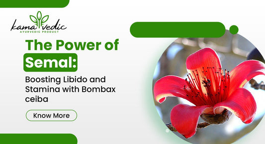 The Power of Semal: Boosting Libido and Stamina with Bombax ceiba