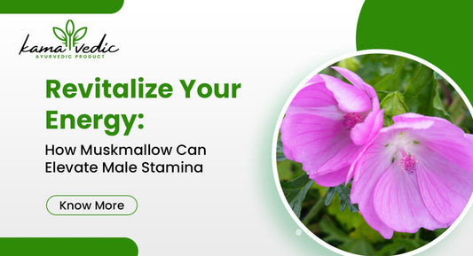 Revitalize Your Energy: How Muskmallow Can Elevate Male Stamina