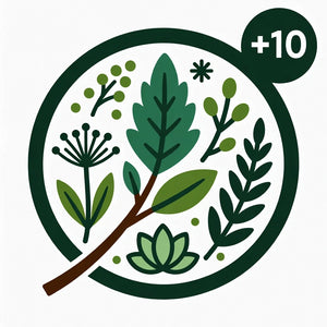 +11 More  Herbs