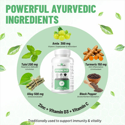 Immunergy key ingredients — Giloy Amla Tulsi Curcumin Zinc Vitamin C D3 immunity booster India